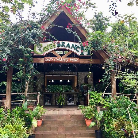 Ian Anderson Caves Branch Jungle Lodge Belmopan Zewnętrze zdjęcie