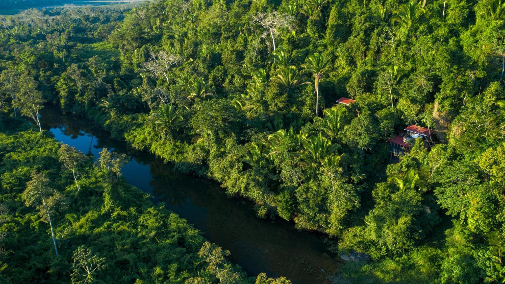 Ian Anderson Caves Branch Jungle Lodge Belmopan Zewnętrze zdjęcie