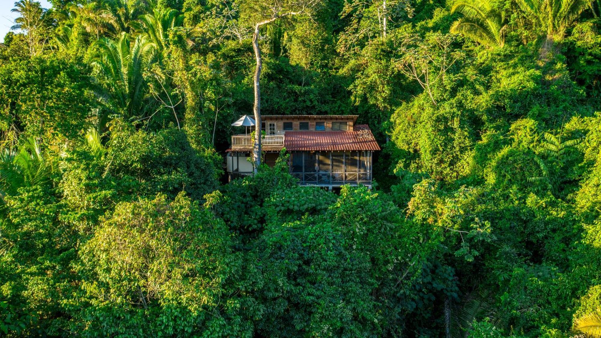 Ian Anderson Caves Branch Jungle Lodge Belmopan Zewnętrze zdjęcie