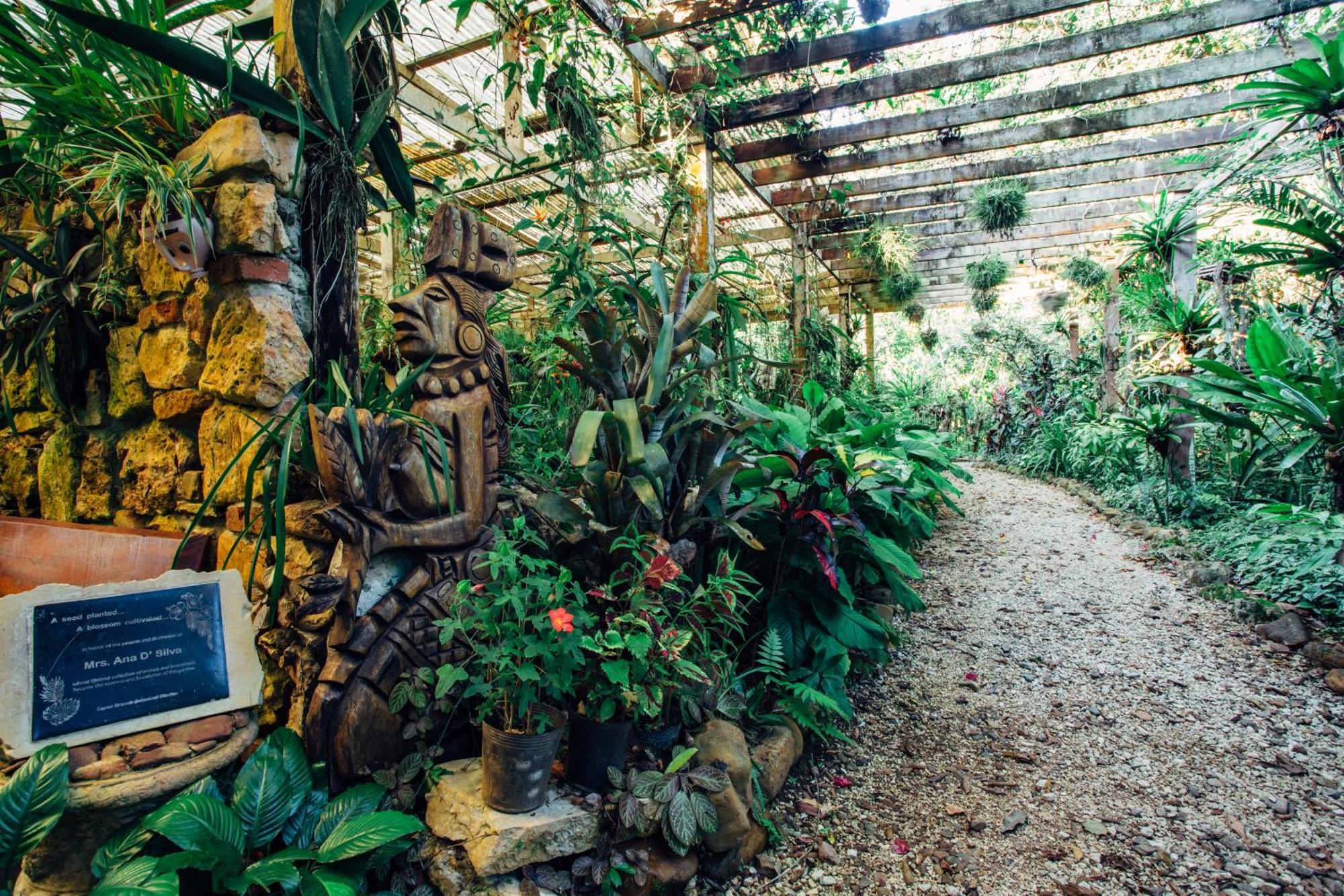 Ian Anderson Caves Branch Jungle Lodge Belmopan Zewnętrze zdjęcie