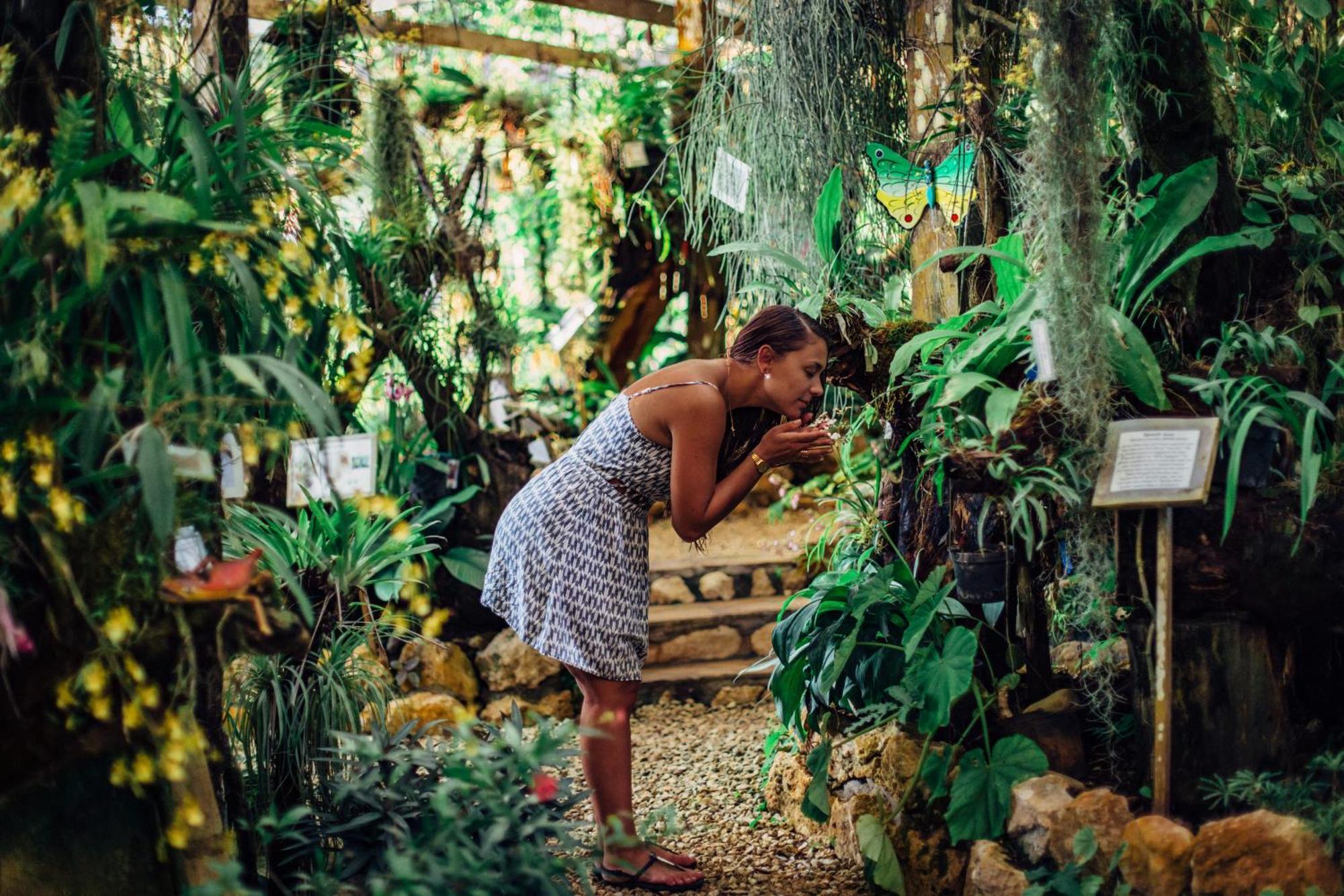Ian Anderson Caves Branch Jungle Lodge Belmopan Zewnętrze zdjęcie